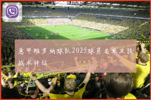 意甲维罗纳球队2025球员名单及技战术评估