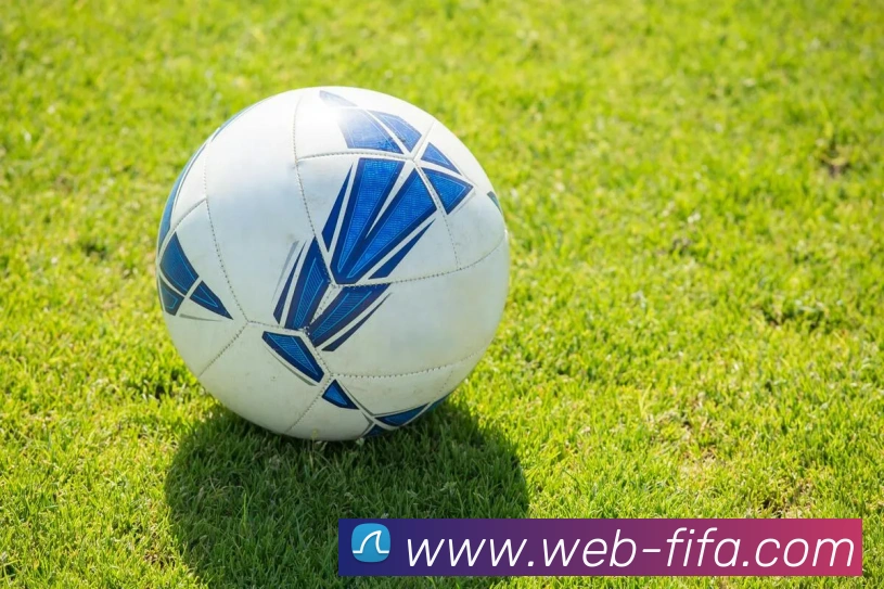 世界杯买球APP 封面图