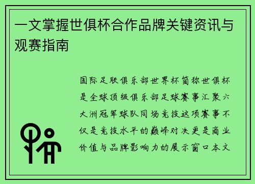 一文掌握世俱杯合作品牌关键资讯与观赛指南
