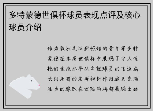 多特蒙德世俱杯球员表现点评及核心球员介绍