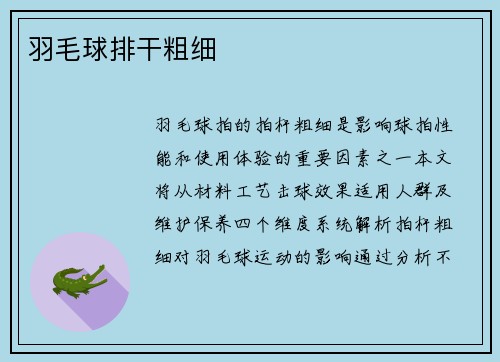 羽毛球排干粗细